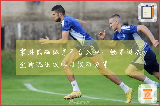 掌握熊猫体育平台入口，畅享游戏全新玩法攻略与技巧分享