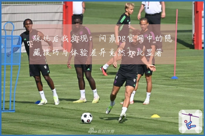 踩坑后我发现，问鼎pg官网中的隐藏技巧与体验差异竟然如此显著